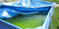 Zelena voda u bazenu: Kako čistiti