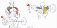 Dumbbell Chin Row - Intensiv yelka mashqlari Shtangani chin qatori mushaklar nima ishlaydi