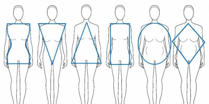 Tipovi tijela.  Odnos visine i težine