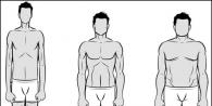 Koji parametri se mogu koristiti za određivanje tjelesnog tipa muškaraca?