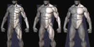 Какие есть типы телосложения у мужчин?